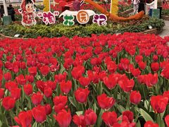 -长春农业博览园