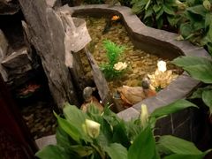 -莱仪堂艾灸经络养生馆(九亭一店)