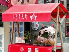 -广州神农草堂中医药博物馆