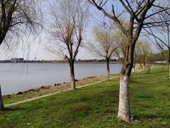 -漕湖湿地公园