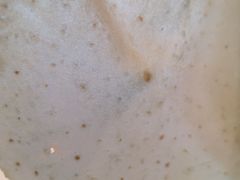 -老昌春饼(松北店)