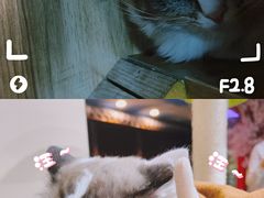 -白兔子密室(长寿路店)