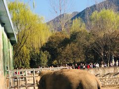 -西安秦岭野生动物园