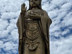 -普陀山风景名胜区-法雨禅寺