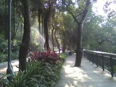 -金鸡山公园