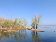 -洱海月湿地公园