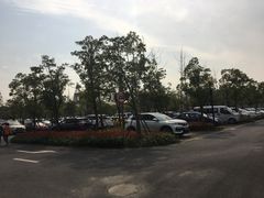 -上海浦江郊野公园-2号停车场