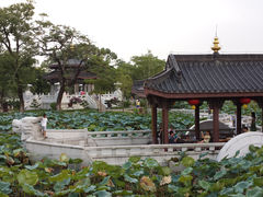 -惠州西湖丰渚园