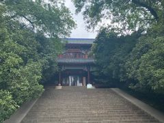 -灵谷景区