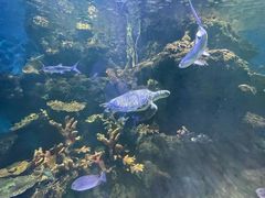 -华夏文旅西安度假区