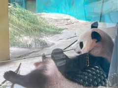 -杭州野生动物世界