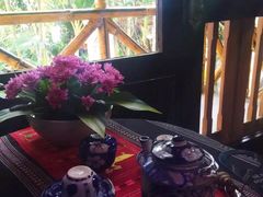 -疯狂屋