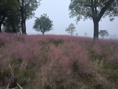 -汉长安城未央宫国家考古遗址公园