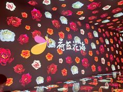 -荷兰花海