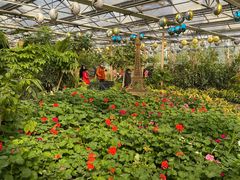 -南宫五洲植物乐园