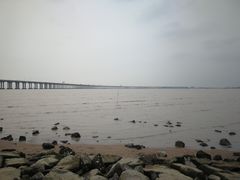 -宝安西湾红树林湿地公园