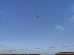 -空港花田景区