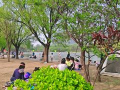 -太阳宫公园