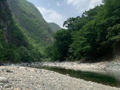 -黑河国家森林公园