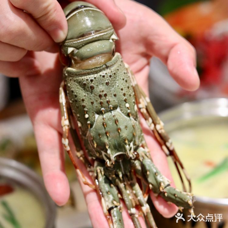 自助餐就要这样吃才过瘾!