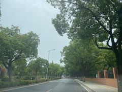 -上海海湾国家森林公园