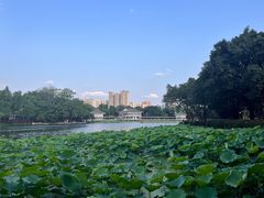-荔湾湖公园
