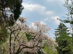 -花溪公园