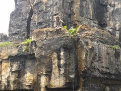 -海南热带野生动植物园