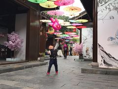 -天目湖山水园