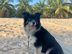 -海南清水湾莱佛士酒店