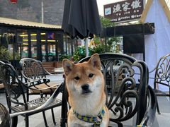 -京北渔家傲