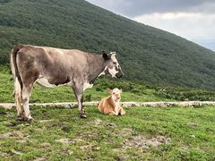-灵山