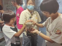 -Zoolung Zoolung动物主题公园(海信广场店)