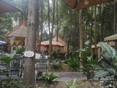 -二荆条·蜀鲜汇城市森林火锅