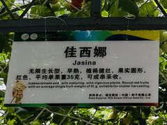 -长春农业博览园