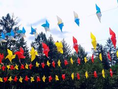 -五营国家森林公园