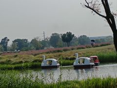 -径山花海