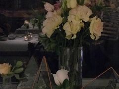 -蝶舍·MAISON PAPILLON