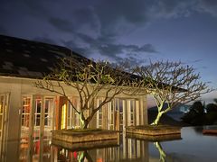 -日落吧·海景咖啡厅·餐酒吧·鸡尾酒·下午茶·乐队表演·浪漫夕阳·三亚文华东方酒店
