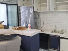 -科立恩进口除甲醛甲醛检测
