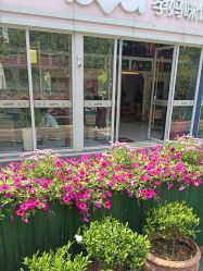 -爱儿美儿童摄影(五路居花园别墅店)