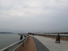 -演武大桥观景平台