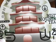 -雾与山茶(大禹城店)