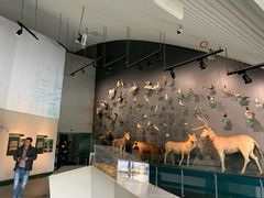 -中国湿地博物馆