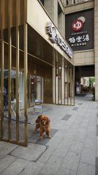 -IDESIGN艾迪赛 美学