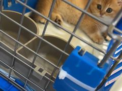 -荔康动物医院(康王北路店)