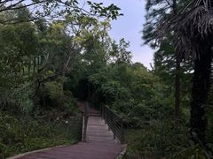 -上海吴淞炮台湾国家湿地公园