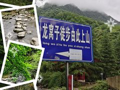 -龙窝子