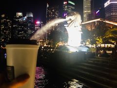 -鱼尾狮公园