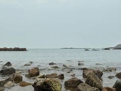 -小麦岛公园